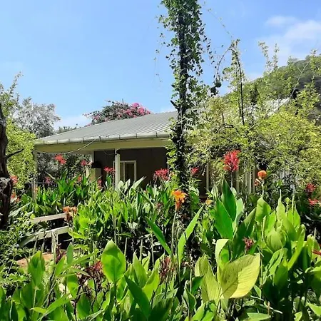 Gelidonia Fenerium Antália