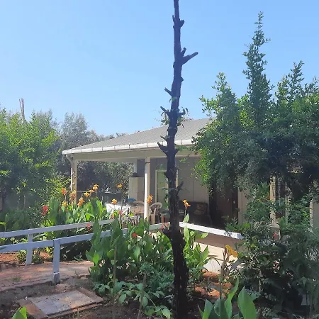 Gelidonia Fenerium Antalya